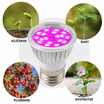 PROFI LED žiarovka pre všetky rastliny, E27, ružová, High-power+ (6W)
