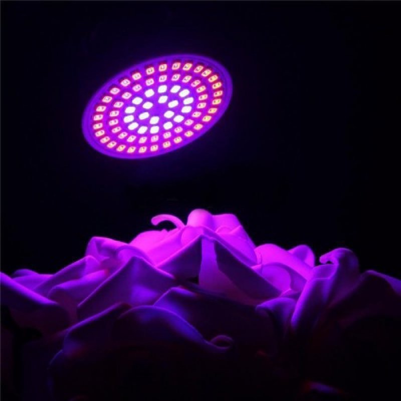 BASIC LED GROW žiarovka na všetky rastliny, GU10, fialová (5W)