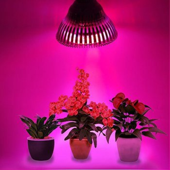 Vysokovýkonná PROFI LED žiarovka pre všetky rastliny, E27, High-power+, ružová (20W)