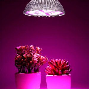 Vysokovýkonná PROFI LED žiarovka pre všetky rastliny, E27, High-power+, ružová (15W)