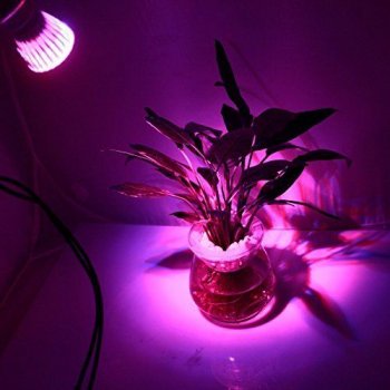 PROFI LED lampa pre rast všetkých rastlín, ružovo-modrá E27 (7W)