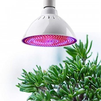 BASIC LED GROW žiarovka na všetky rastliny, E27, fialová (8W)