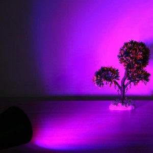 PROFI LED žiarovka pre všetky rastliny, E27, High-power+, ružová (12W)