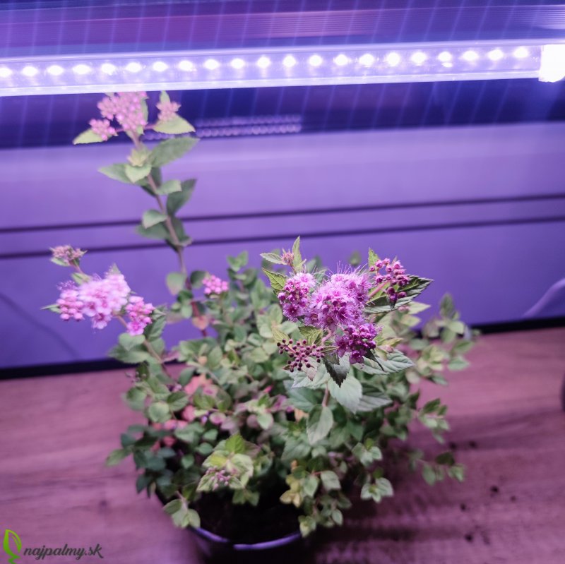 30 cm - LED GROW trubica pre rast rastlín, plné spektrum (5W)