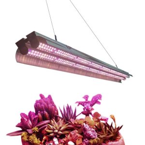 30 cm - LED GROW trubica pre rast kaktusov a sukulentov, plné spektrum (5W)