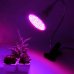 BASIC LED lampa pre všetky rastliny, E27, fialová (6W)