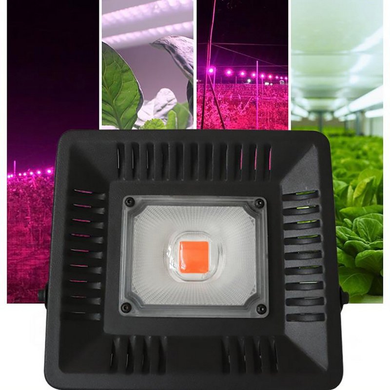 PROFI LED REFLEKTOR pre všetky rastliny, ružová, 50W, 220V