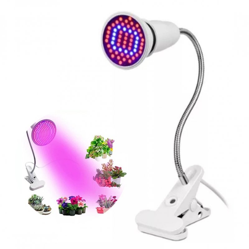 BASIC LED lampa pre všetky rastliny, E27, fialová (3W)