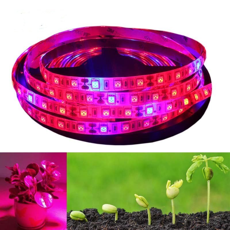 LED vysoko svietivý pásik pre rast rastlín, SMD 5050, 5m (60 led/m, 14,4W/m), IP65
