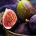 Ficus carica (Figovník obyčajný) ‘NOIRE DE CAROMB’ – výška 50–70 cm, kont. C2L Ficus carica (Figovník obyčajný) ‘NOIRE DE CAROMB’ – výška 50–70 cm, kont. C2L