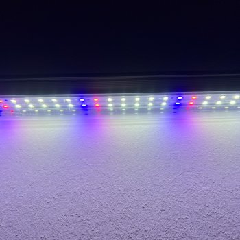 60 cm - LED GROW trubica pre rast rastlín, biele svetlo (10W)
