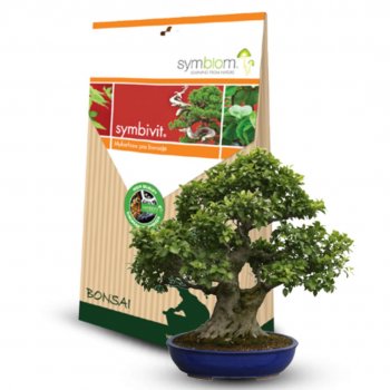 Symbivit - Mykorhízne huby pre bonsaje 150 g