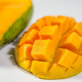 Mangifera Indica (Mangovník) ´MALLIKA´, kont. C7L, výška: 70-90 cm